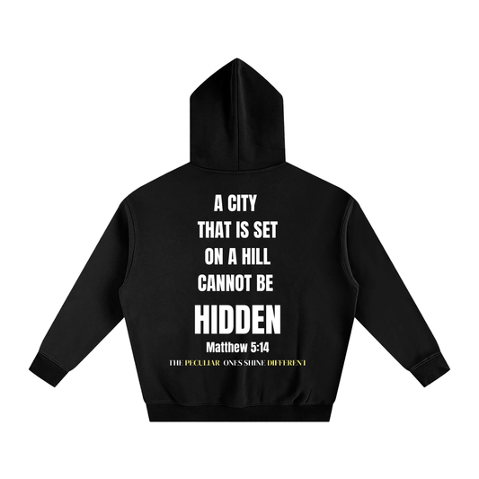 Ye Are the Light of the World Hoodie (Matt.5:14)